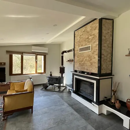 Beykoz Dag Evi Villa